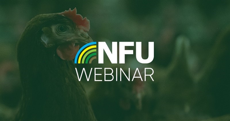 NFU Webinar - Poultry