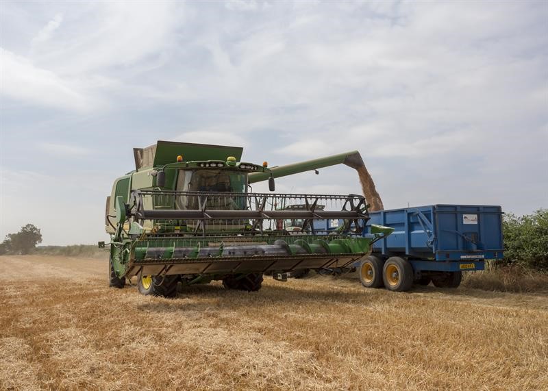 Wheat harvest Tom Martin farm_64361