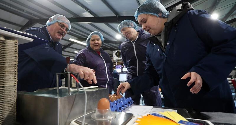 MPS take part in egg grading at Griffiths Family Farms