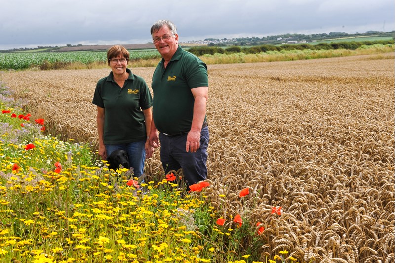 Richard and Lyn Anthony with a field margin