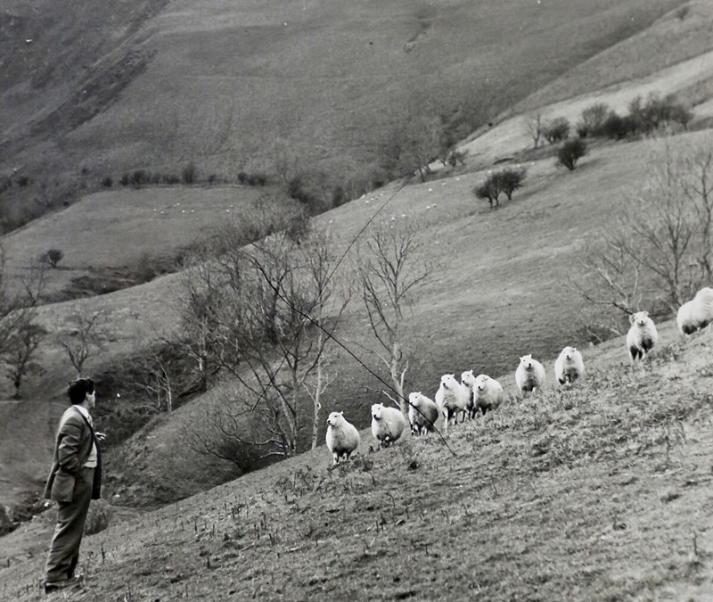 Aled Wyn Jones - archive pic