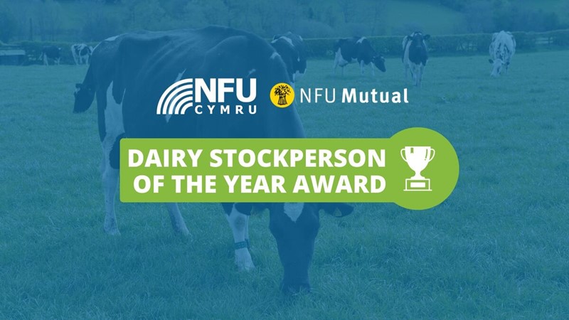 Dairy Stockperson award, promotional graphic