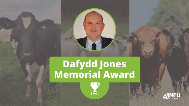 Dafydd Jones Memorial Award graphic