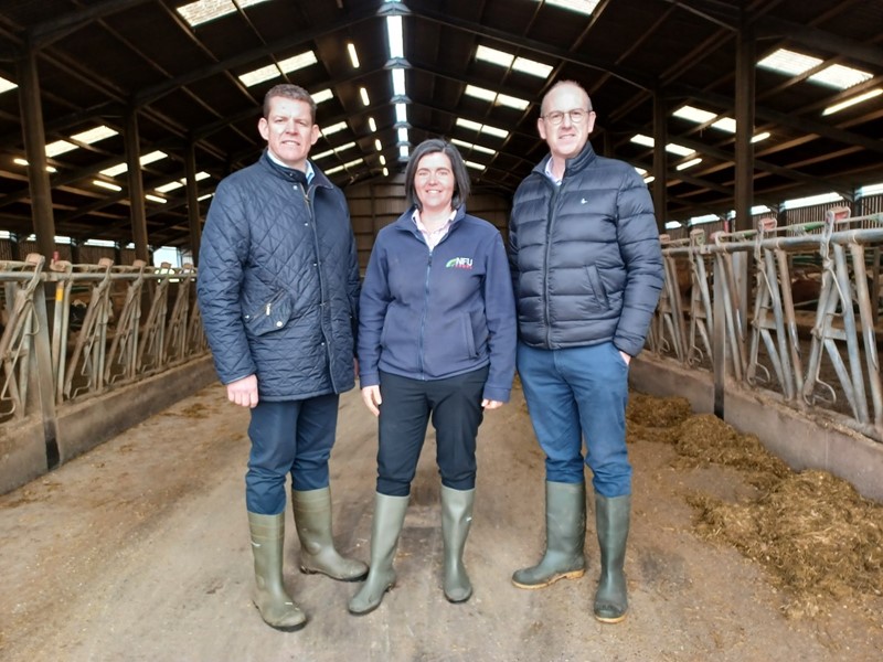 Rhun Ap Iorwerth MS and Llyr Gruffydd MS on farm with Abi Reader