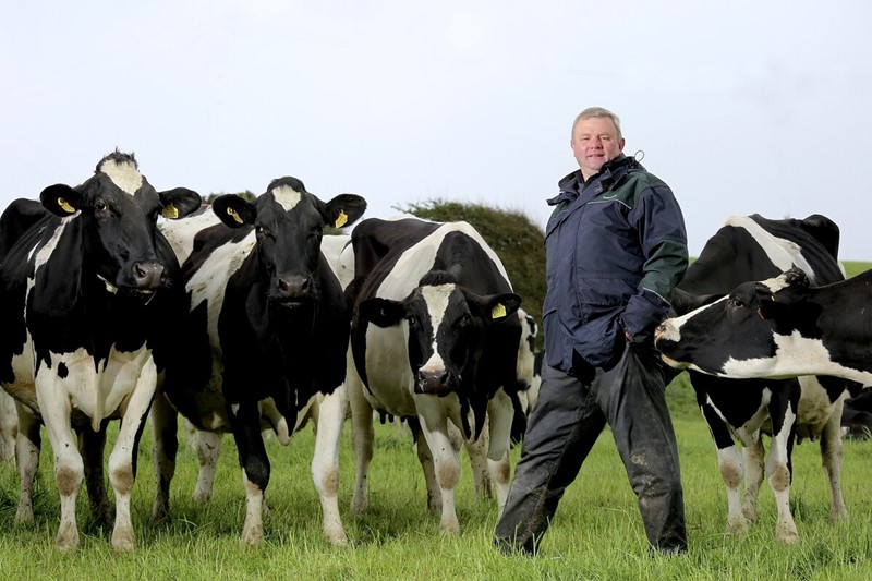 Martin Griffiths with dairy cows