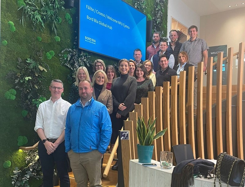 Next Generation Group in Bord Bia HQ