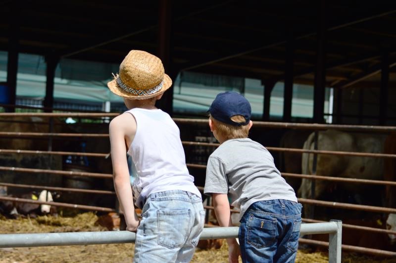 Open Farm Sunday 2014 Minting Park Farm, Lincolnshire