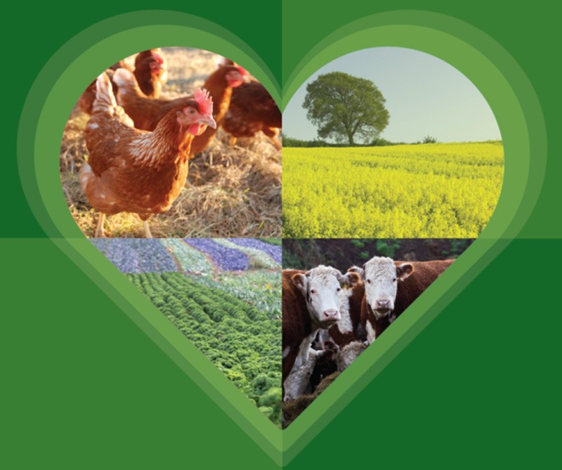 The Midlands: Farming's Beating Heart