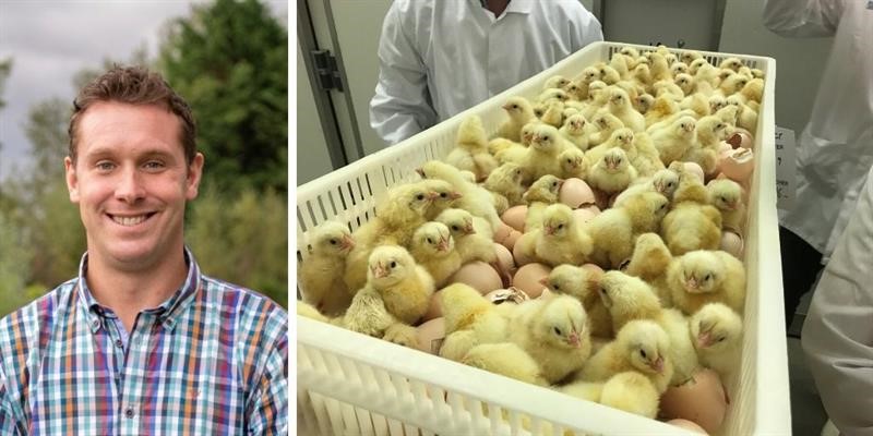 2019/20 NFU Poultry Industry Programme participant Will Raw visits a hatchery