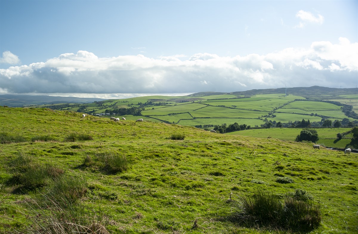 NFU Cymru Says Habitat Wales Scheme Statement Has Not Addressed Funding ...