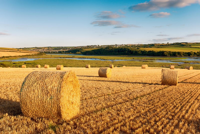 An image showing bales in a field 