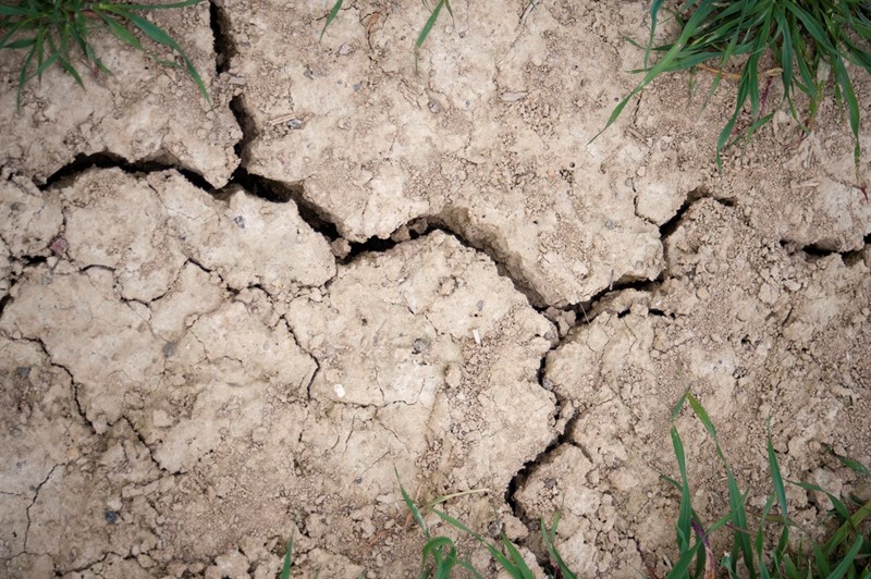 Cracked soil