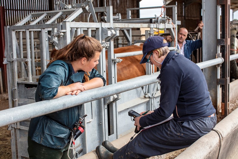 Photograph: 'Fototek' Geoff and Tordis Pagotto