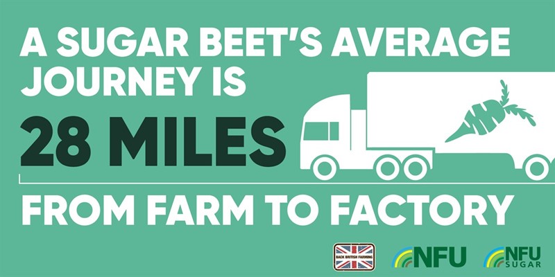 A sugar beet's average journey is 28 miles from farm to factory