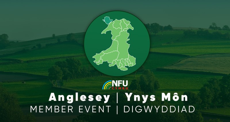 Anglesey county