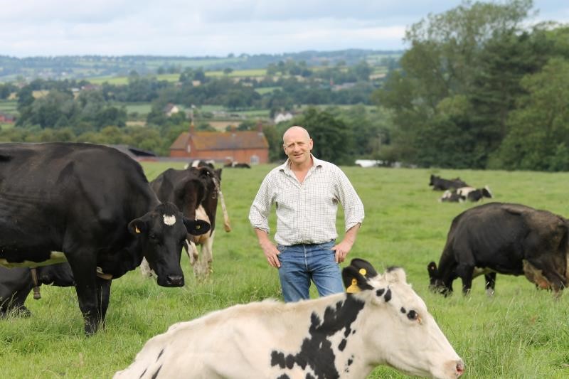 David Brookes on the farm 