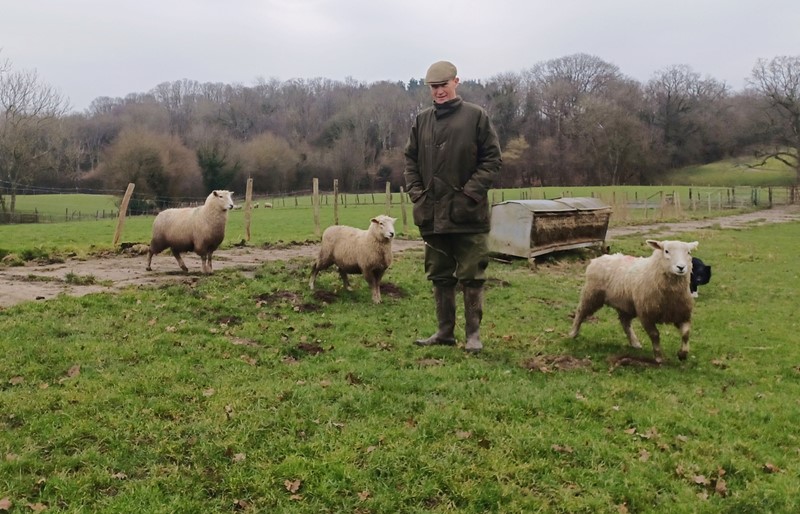 Kent farmer Tobin Bird standing in a field in a coat and wellington boots with some of his sheep