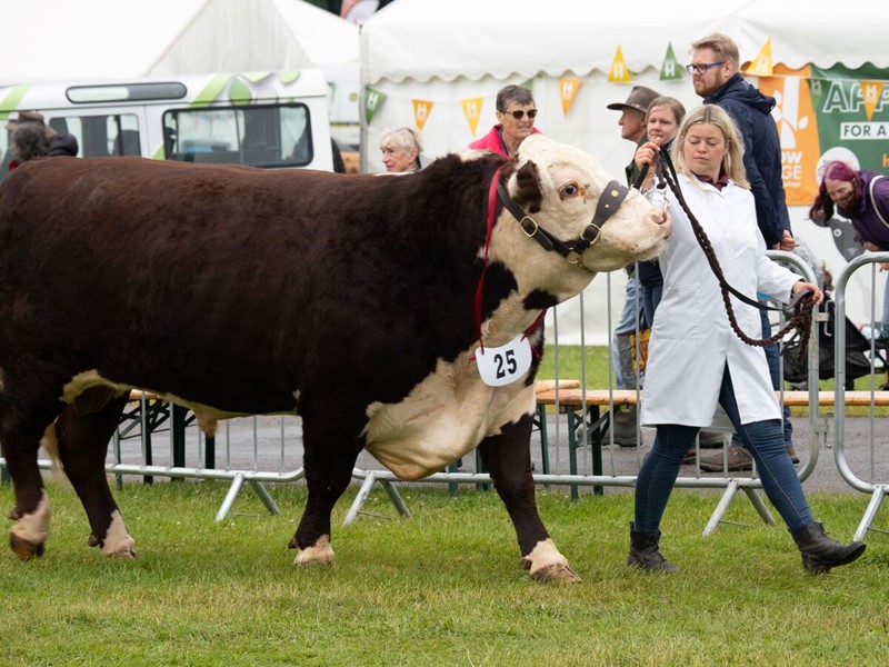 Kent County Show 2024