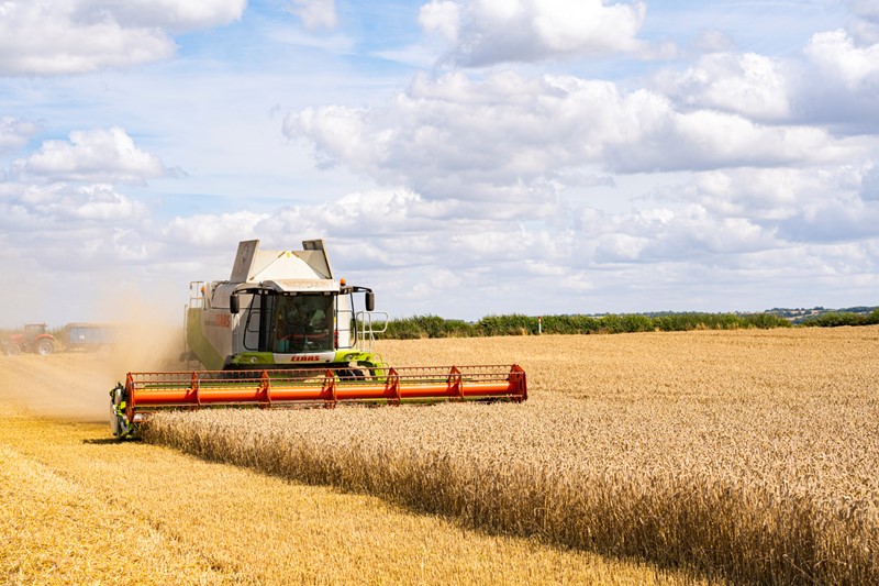 Combinable harvest in field