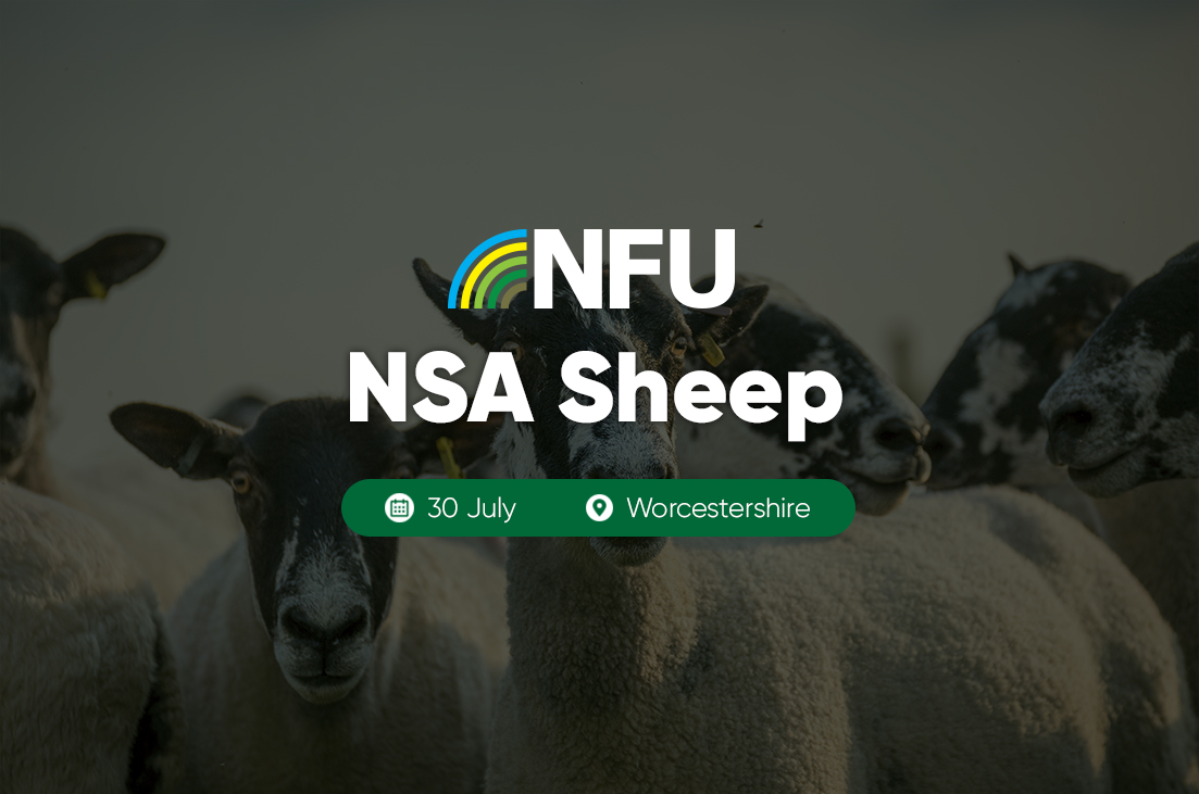 Event listing for NSA Sheep Event 30 July 2024