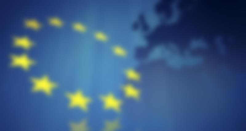 An image showing the EU flag