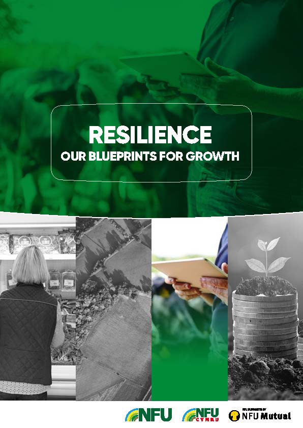 Resilience | Our blueprint for growth