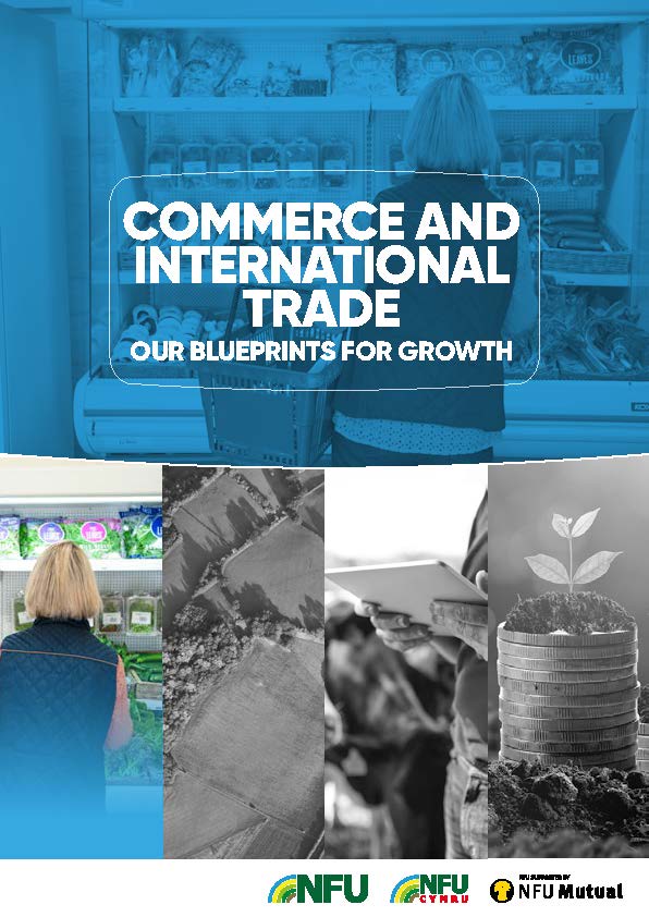 Commerce and international trade | Our blueprint for growth