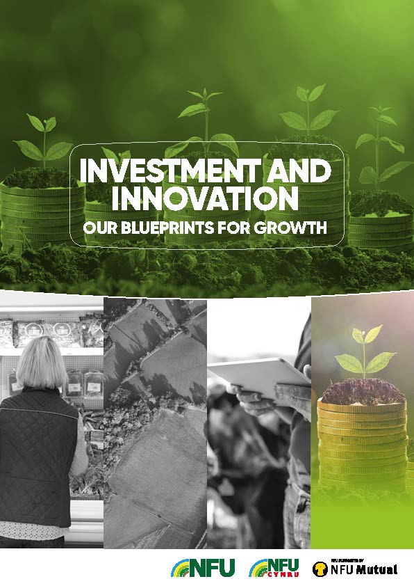 Investment and innovation | Our blueprint for growth