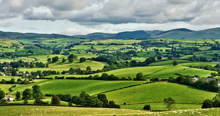 English farmland