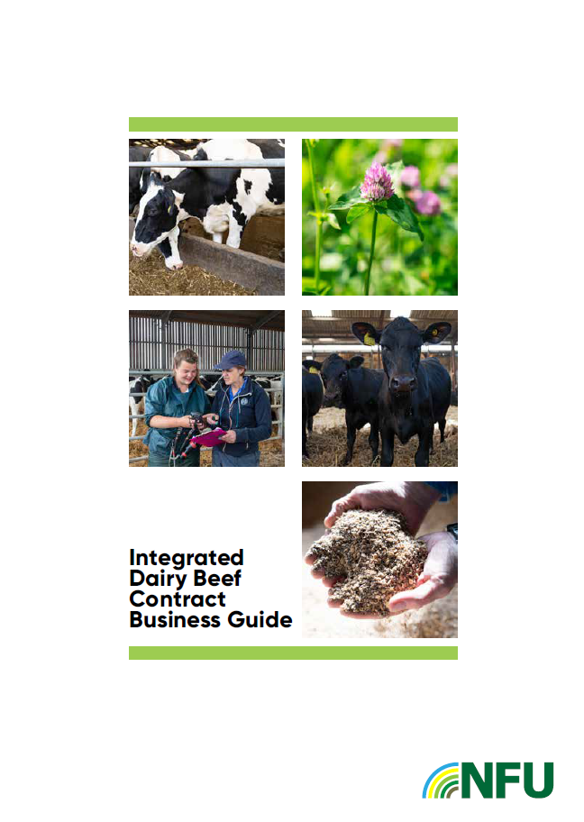 DRAFT NFU integrated dairy beef contract business guide