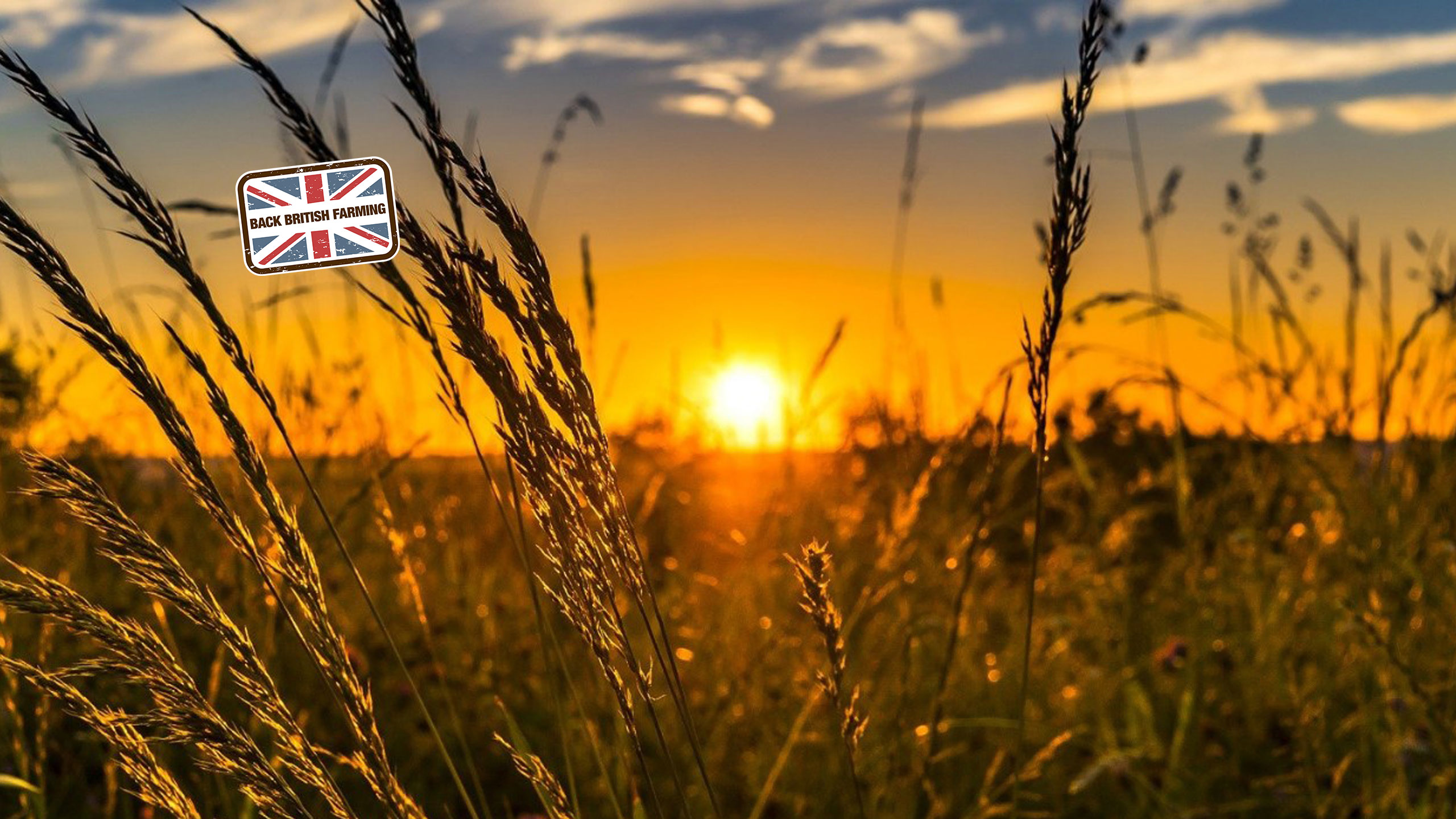 Best of British summer photo competition