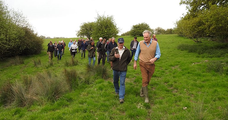 Farmers on an SFI farm walk