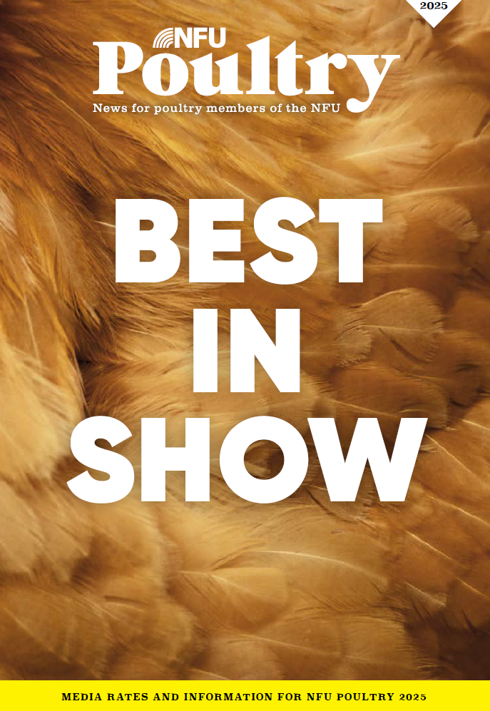 Published six times a year, NFU Poultry is the definitive must have magazine for those who want to be one step ahead of the game. Covering Broilers, Breeders, Layers and Turkeys, NFU Poultry is read by the opinion formers and key decision makers in British poultry production.