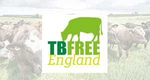 Visit TB Free England