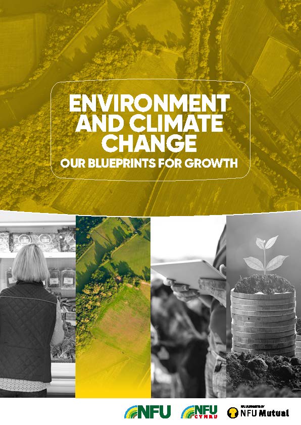 Environment and climate change | Our blueprint for growth