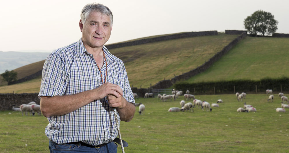 NFU uplands forum chairman reflects on an unusual summer – NFUonline