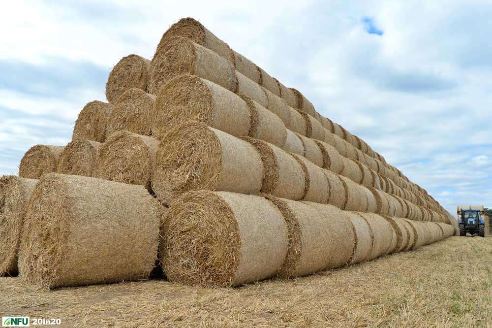 <h4>Great wall of straw at Eyke</h4> <p>Stacking straw bales at the end of harvest at Eyke in east Suffolk, in early September. Farmers grow cereal crops on about 136,000 hectares of land in Suffolk. Photo: Nikon D4 + 24mm F2.8 1/1600 @ F6.3 ISO 500</p> <p>Warren’s comments: </em>I spotted four enormous Toblerone-shaped stacks of straw, each about 200 metres long on my way home from the turf shoot. I made my way down a tiny lane and found workers still adding to the huge stacks. Apparently, it had been a bumper year with over 7000 rolls of straw being produced, over double the usual number. It was difficult to show the scale of how much straw was being stacked.</em></p>