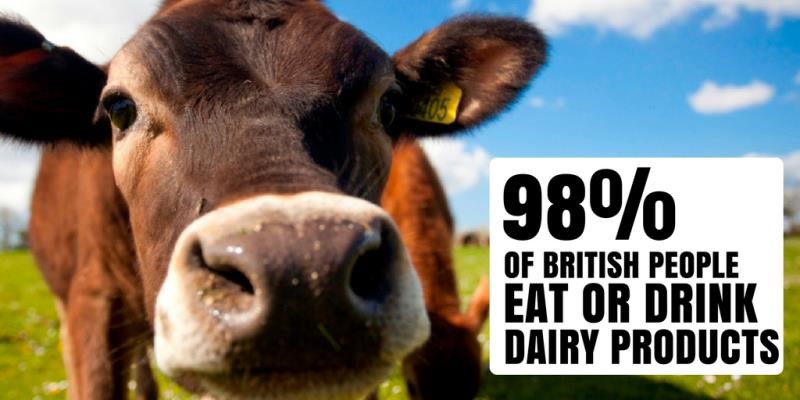 Fascinating Facts About British Dairy Countryside Online